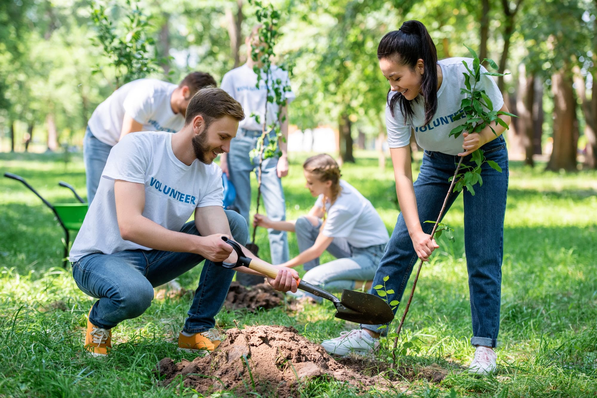young-volunteers-planting-trees-in-green-park-together.jpg young-volunteers-planting-trees-in-green-park-together.jpg